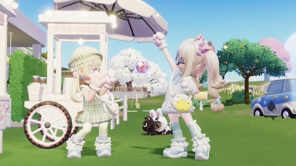 タコス🌮 tweet media