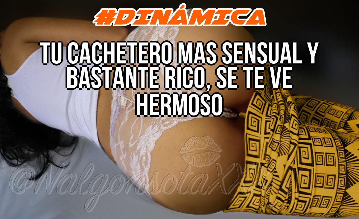 Novia X Novia tweet media