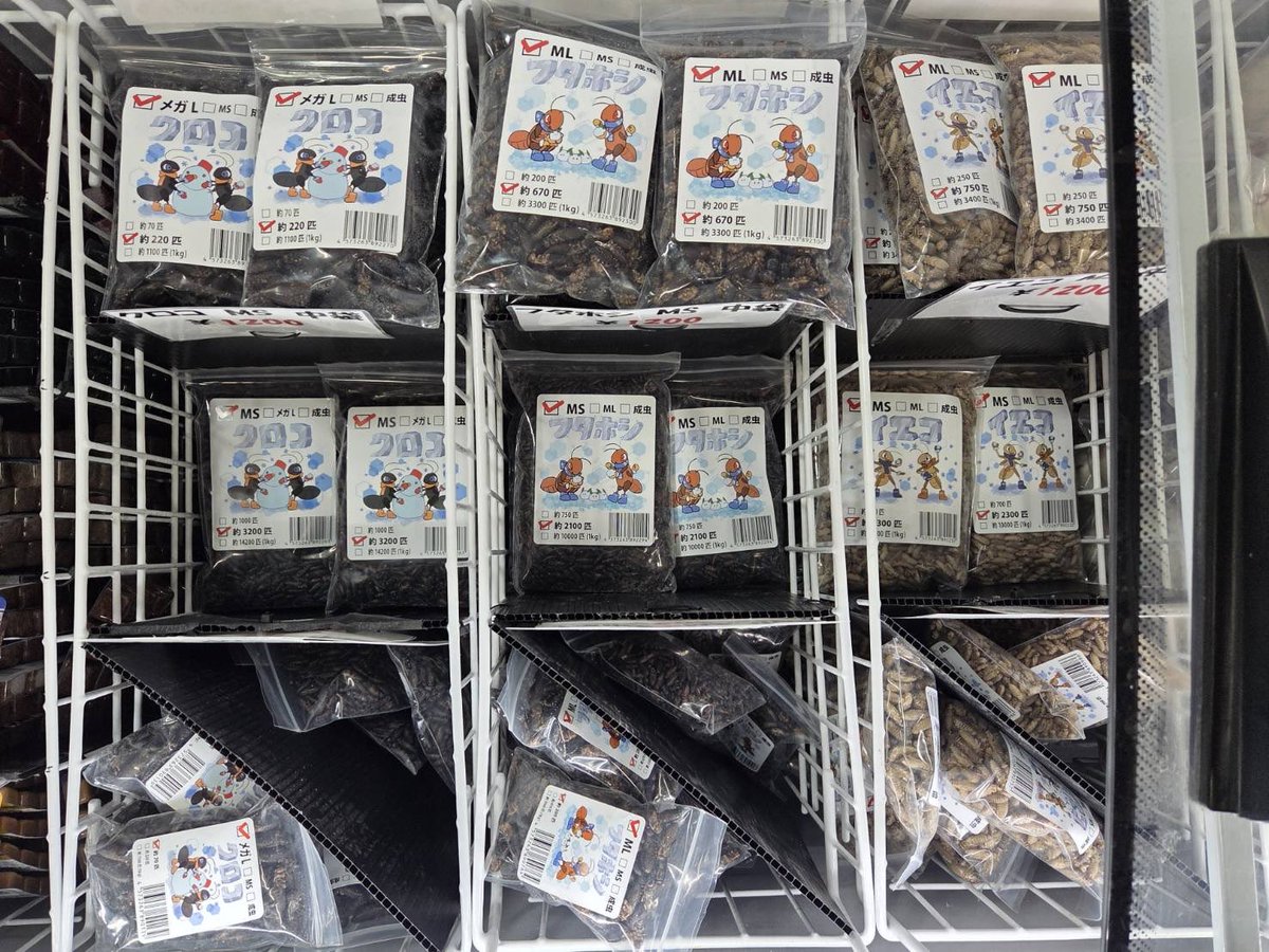 アクアリウムバス

準備完了✅
冷凍庫🍨もお持ちしました❗️
ブースも広々していますので
是非お越しください☺️

#アクアリウムバス
#冷凍マウス
#コオロギ