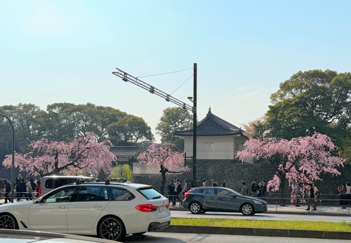 ハッチャン：ランニングアドバイザー tweet media