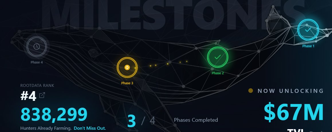 Katie Storey🌊RIVER🐬TermMax tweet media