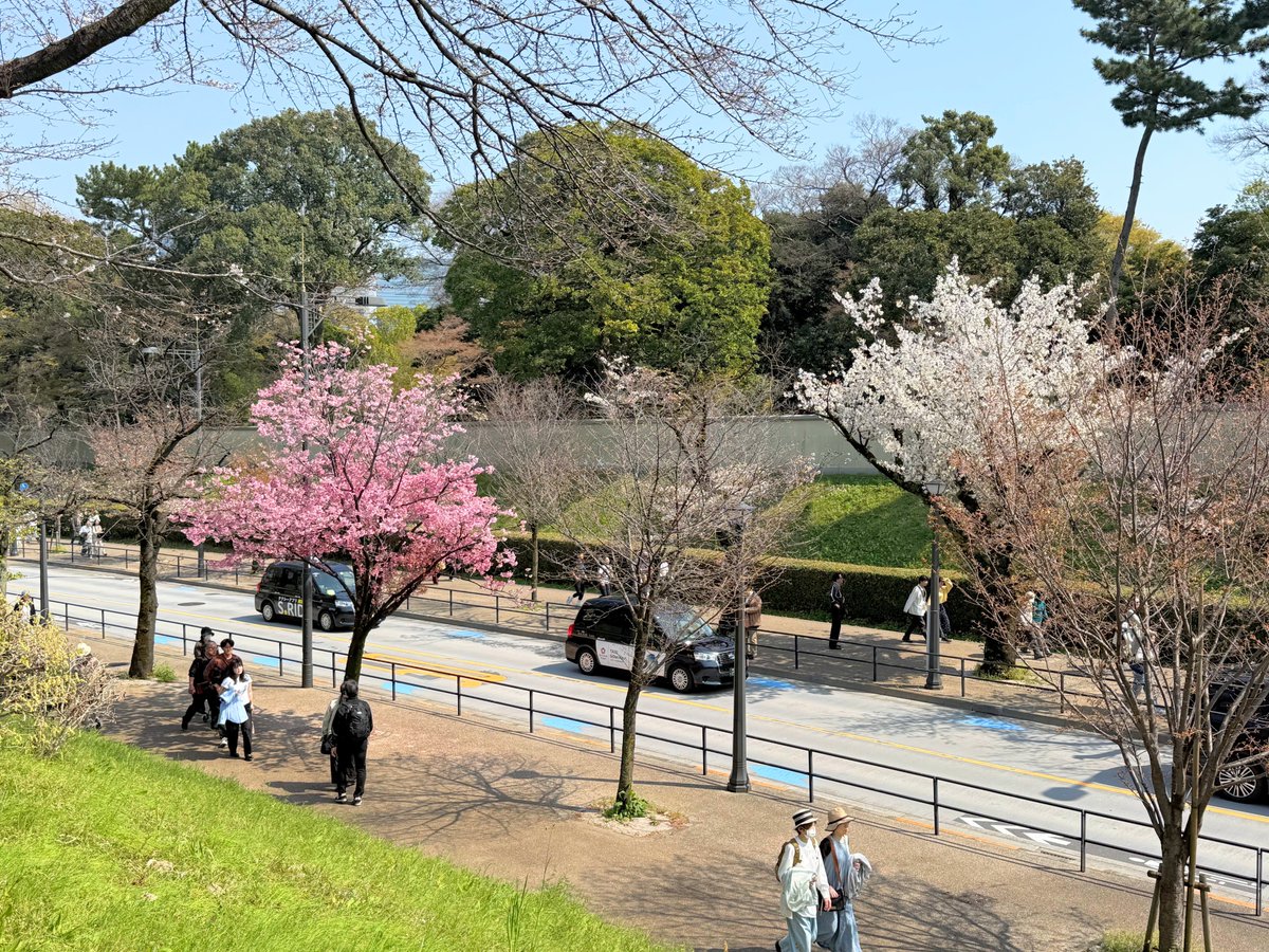 ハッチャン：ランニングアドバイザー tweet media