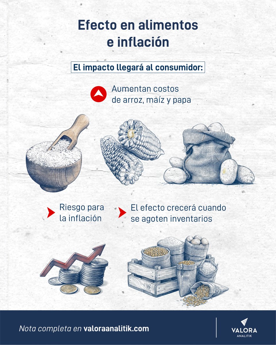 ValoraAnalitik's tweet photo. 🌍 Las crecientes tensiones en el Estrecho de Ormuz ya no afectan solo al sector energético, sino que ponen en alerta al campo colombiano. El conflicto, que cumple cerca de un mes, interrumpe el comercio de fertilizantes, dejando al país vulnerable debido a su alta dependencia de importaciones, que representan más del 75 % de la demanda interna.

📈 En 2025, Colombia importó fertilizantes por US$1.107 millones, siendo la urea la más relevante con 26,7 % de la canasta. El bloqueo en el Golfo Pérsico, que concentra el 49 % de la urea y el 30 % del amoníaco mundial, ha elevado los precios, y la urea en Colombia ya subió 37,4 %, encareciendo cultivos clave como arroz, maíz y papa y generando riesgos para la inflación.

🍚 La situación también refleja una crisis global: los precios internacionales de la urea han subido cerca de 50 % y los del amoníaco 20 %, según Alpine Macro. A medida que se agoten los inventarios en Colombia, se espera que los mayores costos se trasladen a los consumidores, afectando los próximos 1–2 ciclos agrícolas.

➡️Lee la nota completa: https://t.co/F2nN5NlaI3

@ANIFCO

#Fertilizantes #InflaciónAlimentos #AgroColombia
