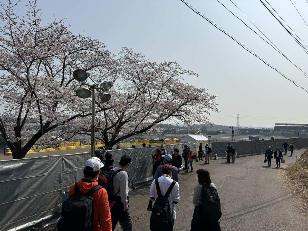 teratech2010's tweet photo. 桜🌸
#f1jp https://t.co/x5vk1PU9r0