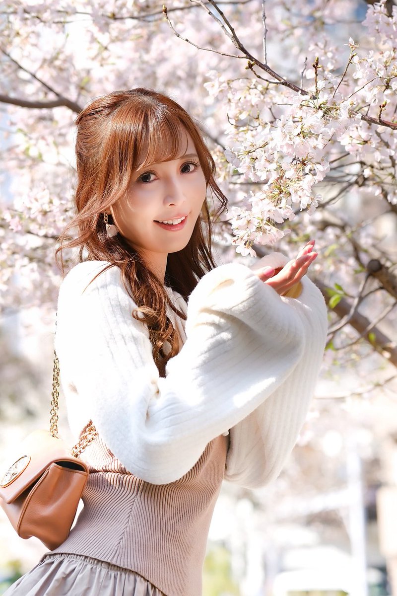 笹の才蔵🦕 tweet media