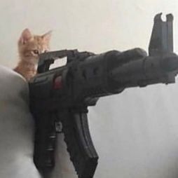 reo..*ms tweet media