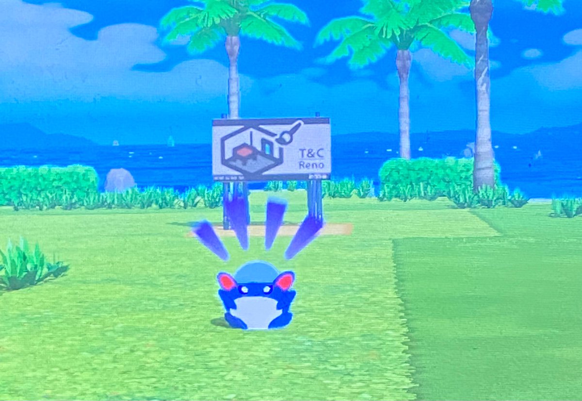 ロイン@プロジェクトタマザラシ🍥 tweet media