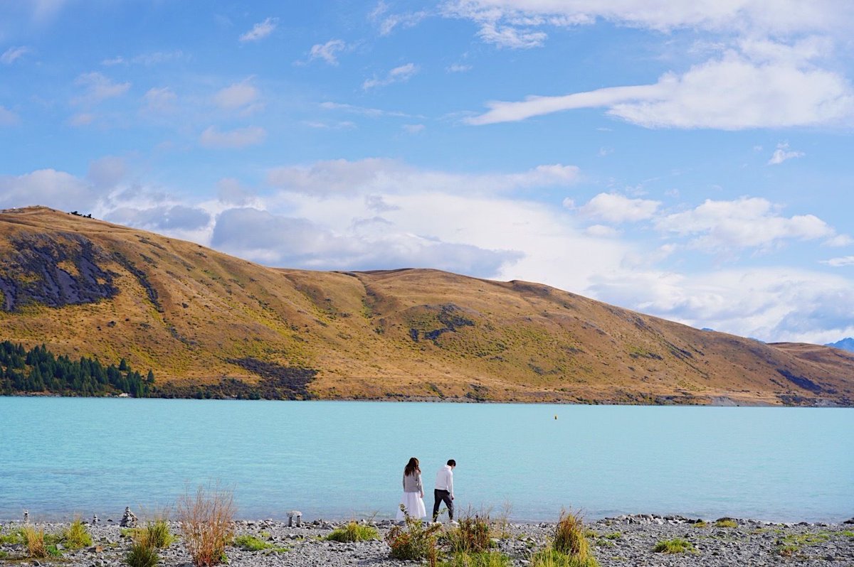 ルイス前田 tweet media