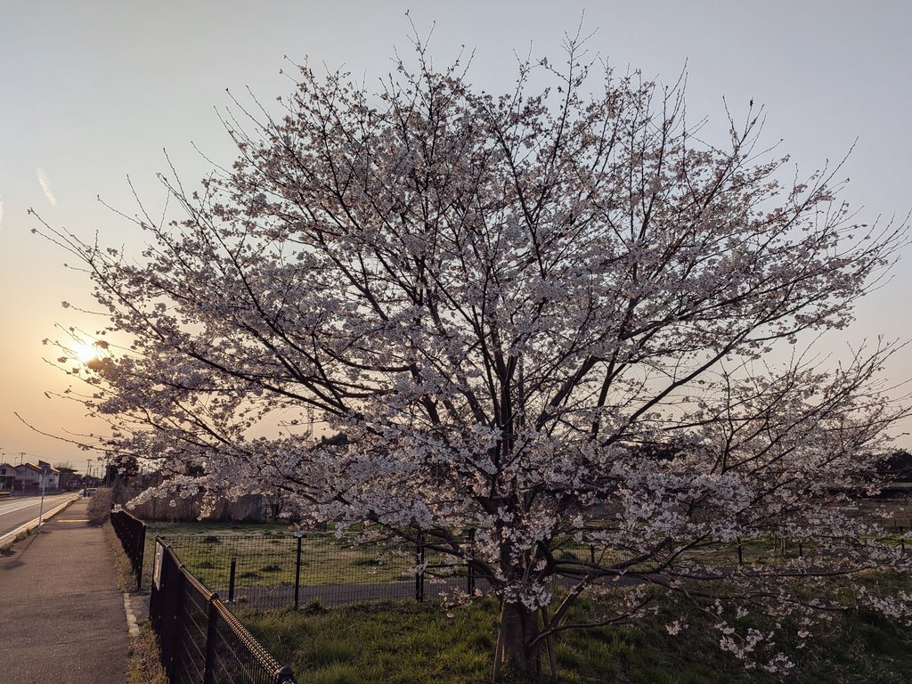 Anthony Lowe | アンソニー・ロー tweet media