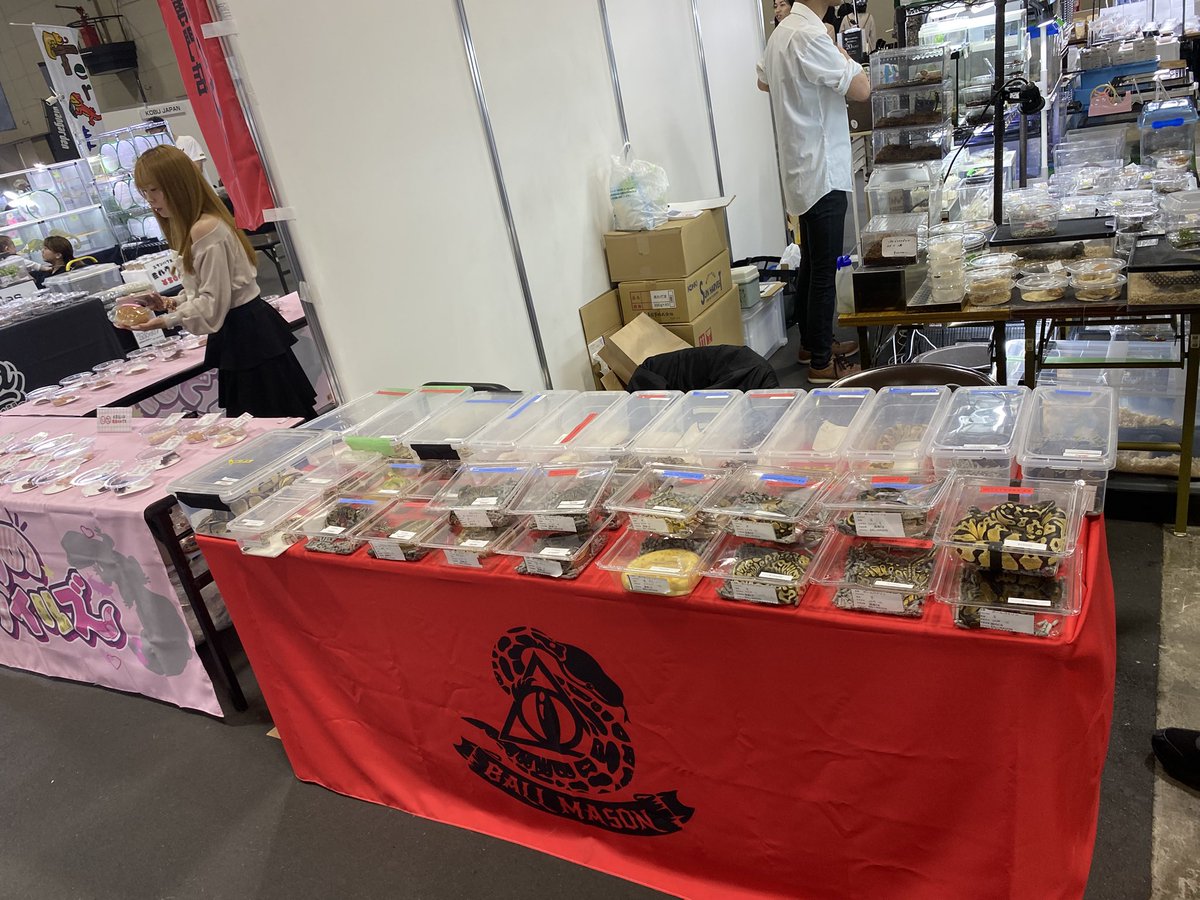 BALL/👁\MASON tweet media