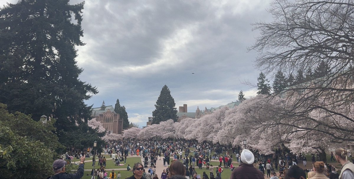 Auntie Collins | Sundays on Fightful Overbooked tweet media