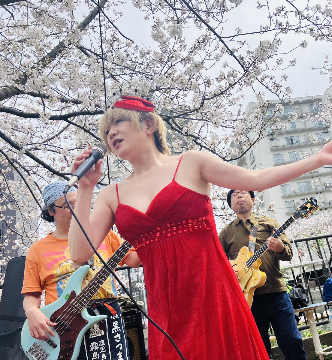 マッシュトシキ tweet media