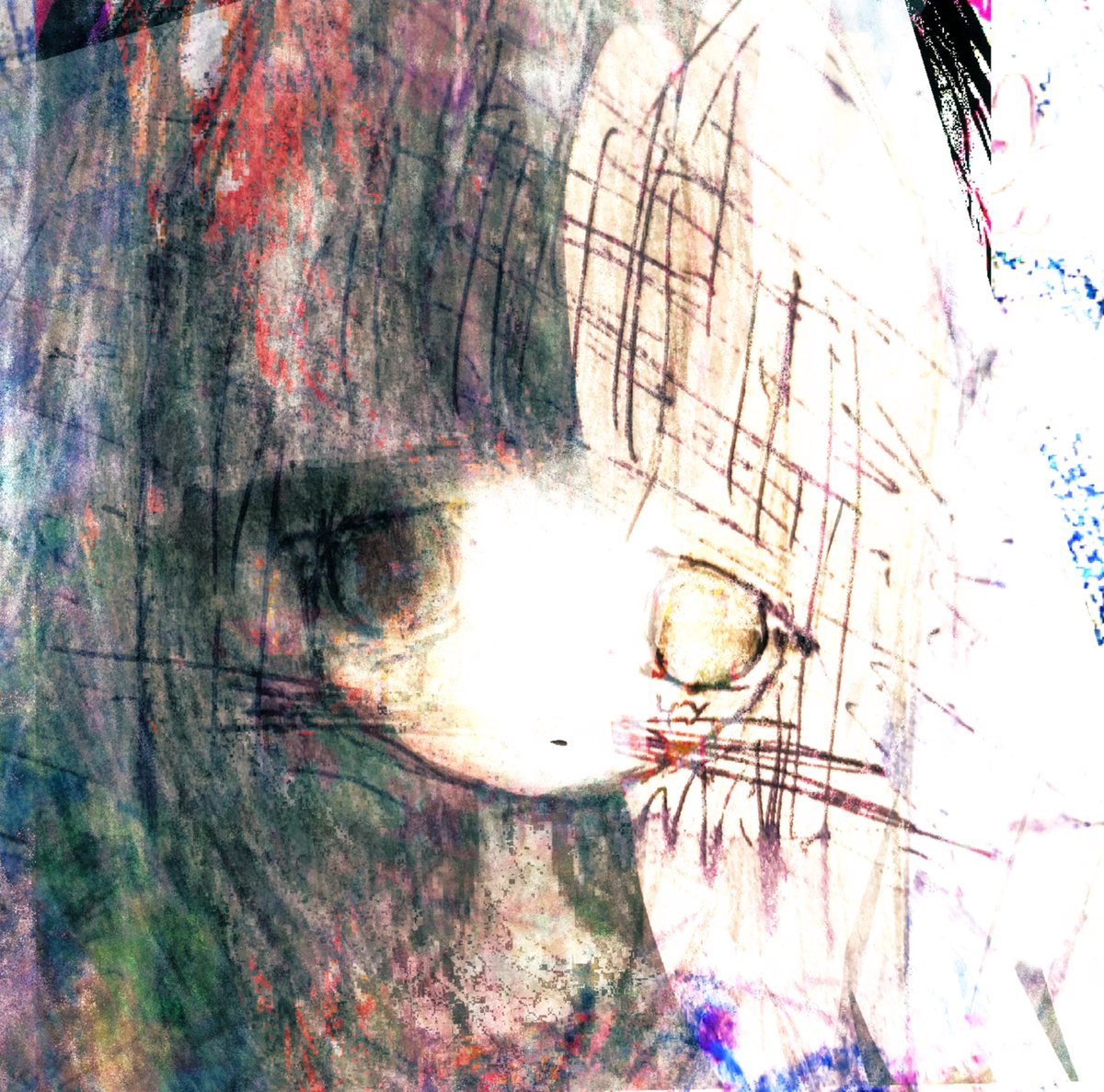 えかきうお tweet media