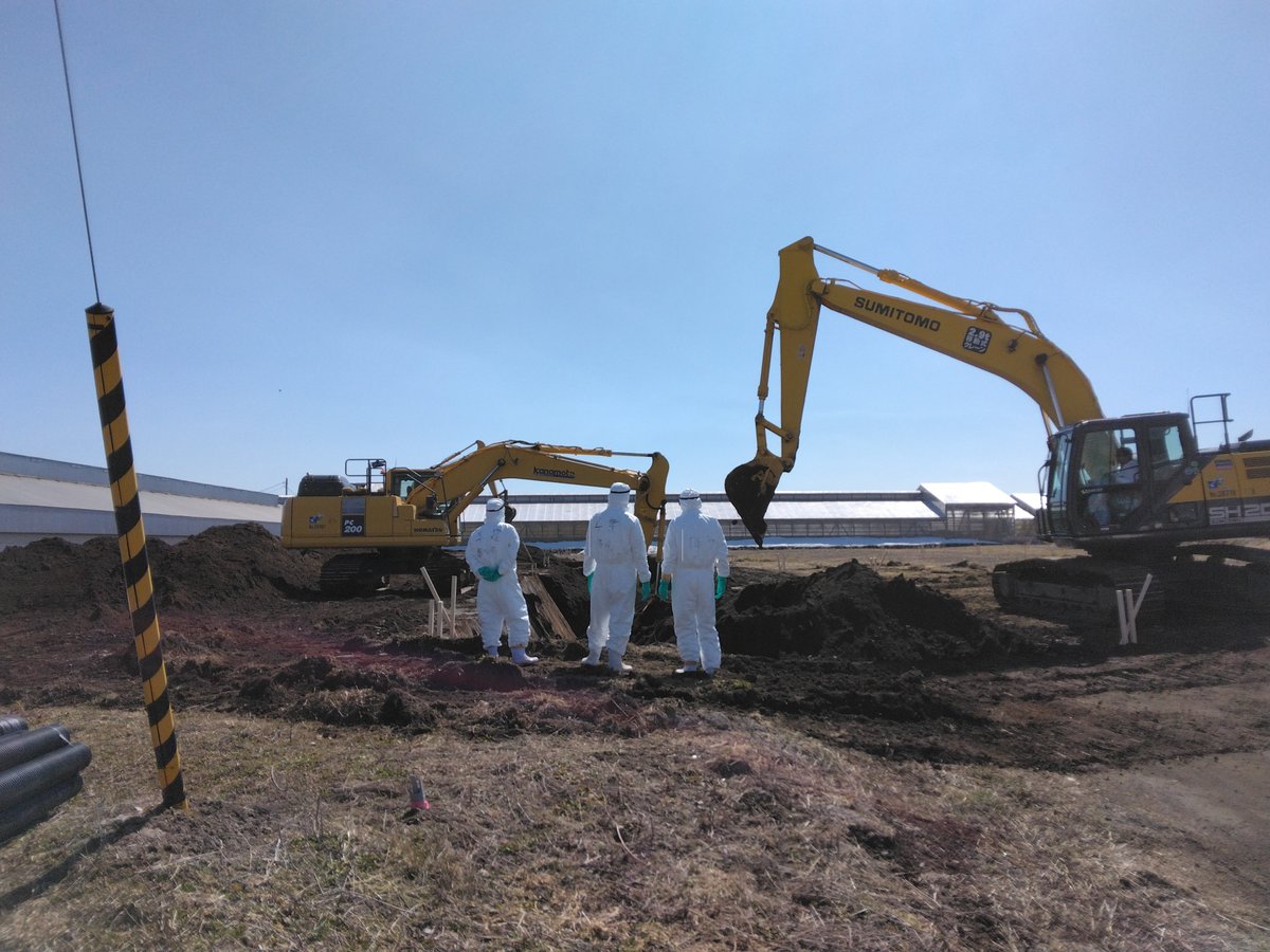 北海道【公式】 tweet media