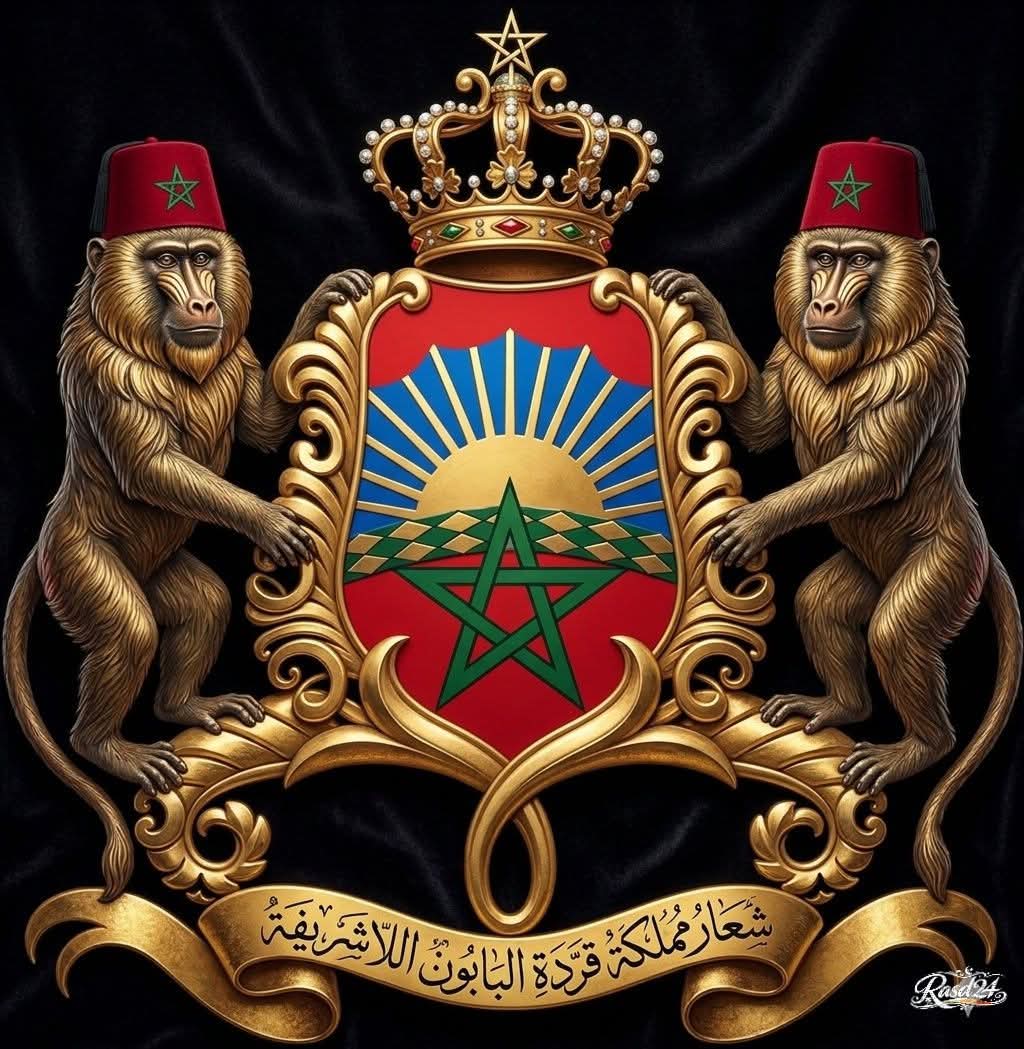 InzoAimer's tweet photo. @hasnilove81 @AJArabic الشعار الرسمي للمغرب يتحول برعاية صهيونية إلى "قردة البابون"، في إهانة تاريخية من الحليف الإسرائيلي تكشف حقيقة وزن نظام باع كرامته مقابل أوهام التطبيع. https://t.co/mC59S5dFWg