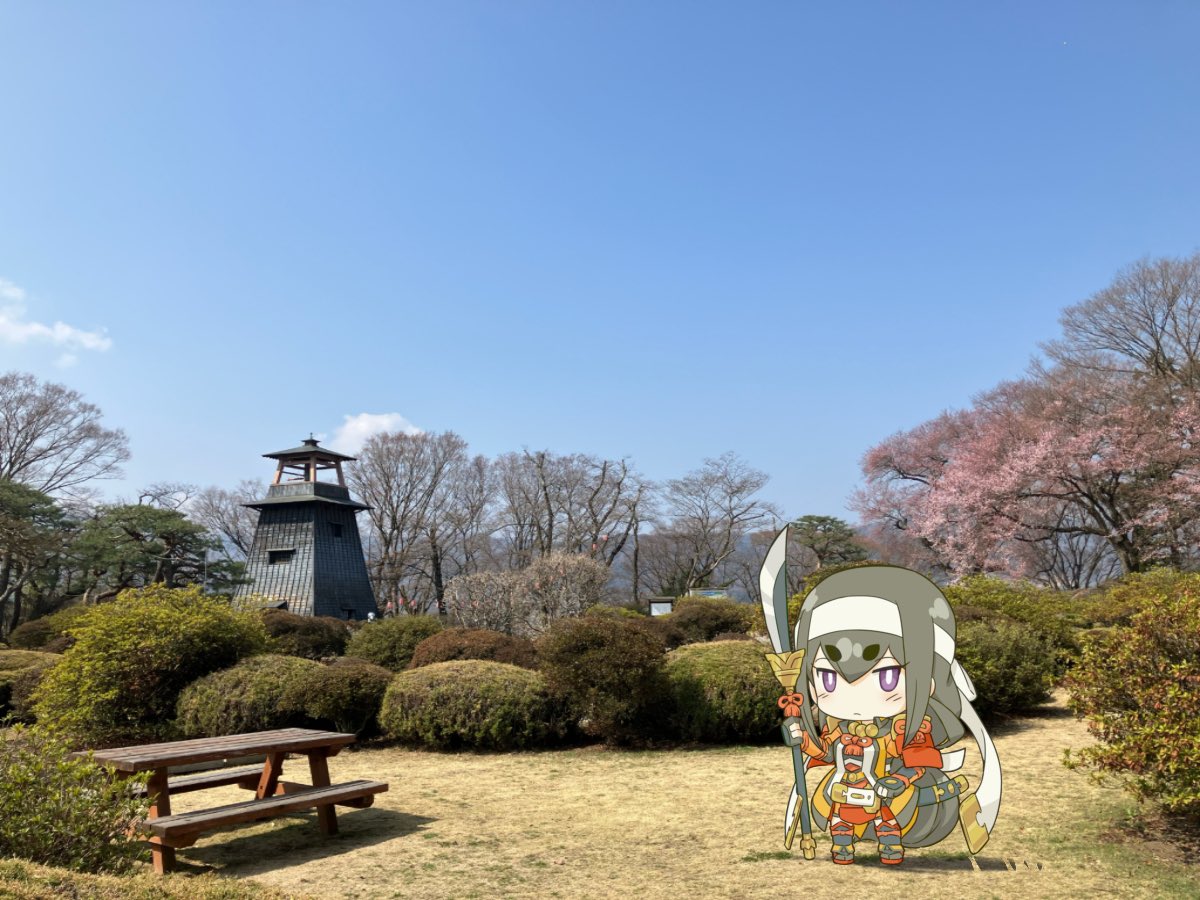 小松姫@信之・小松姫プロジェクト tweet media