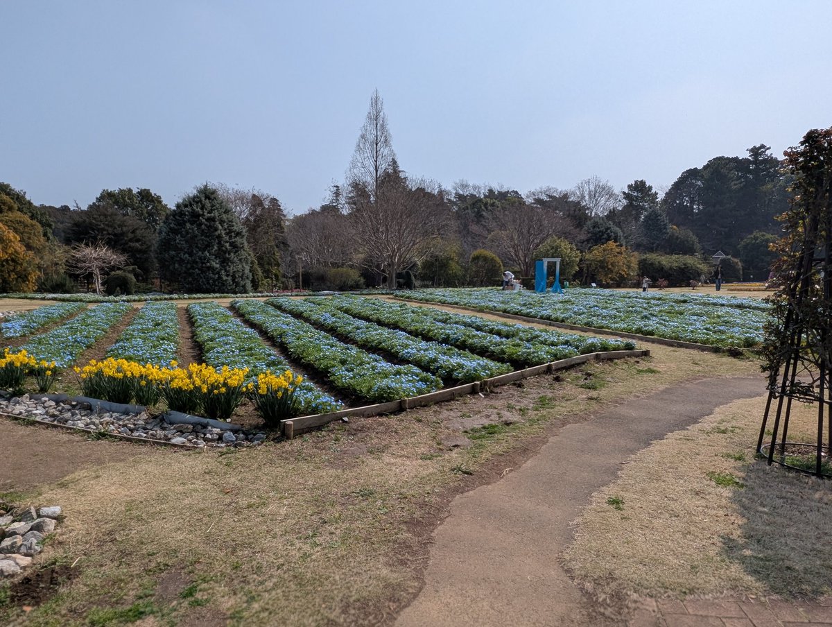 めろか tweet media