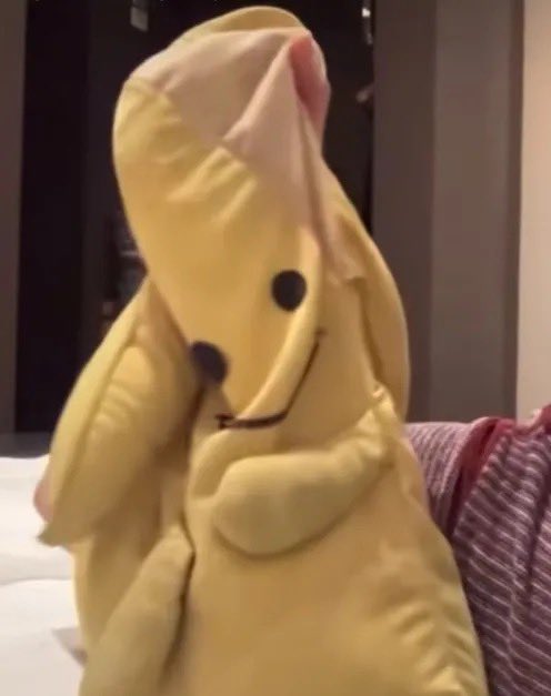 dailyjames tweet media