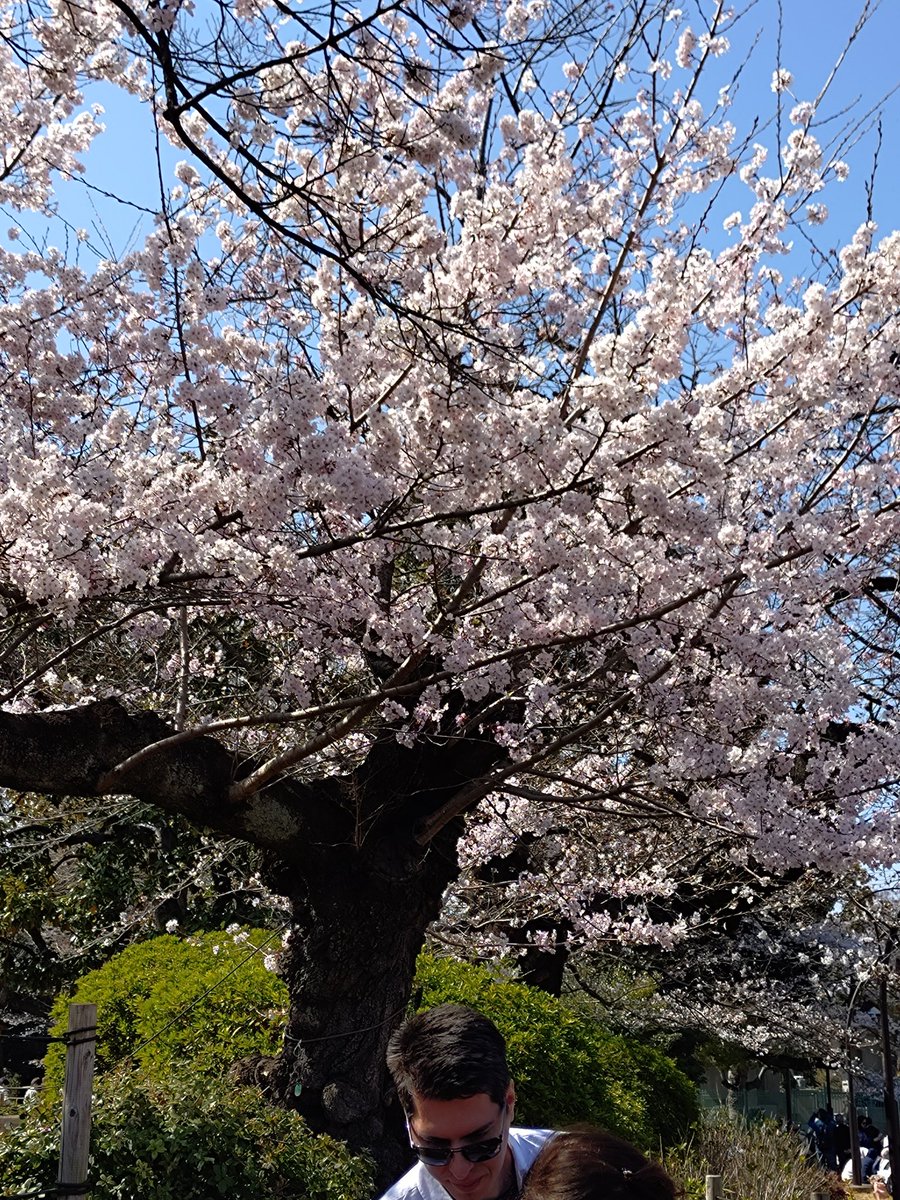 上野あじと tweet media