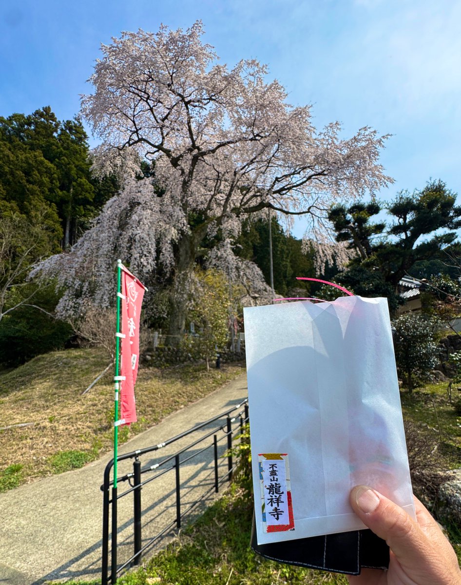 元MINI F54乗り・元伊勢市民の設備屋🔧 tweet media