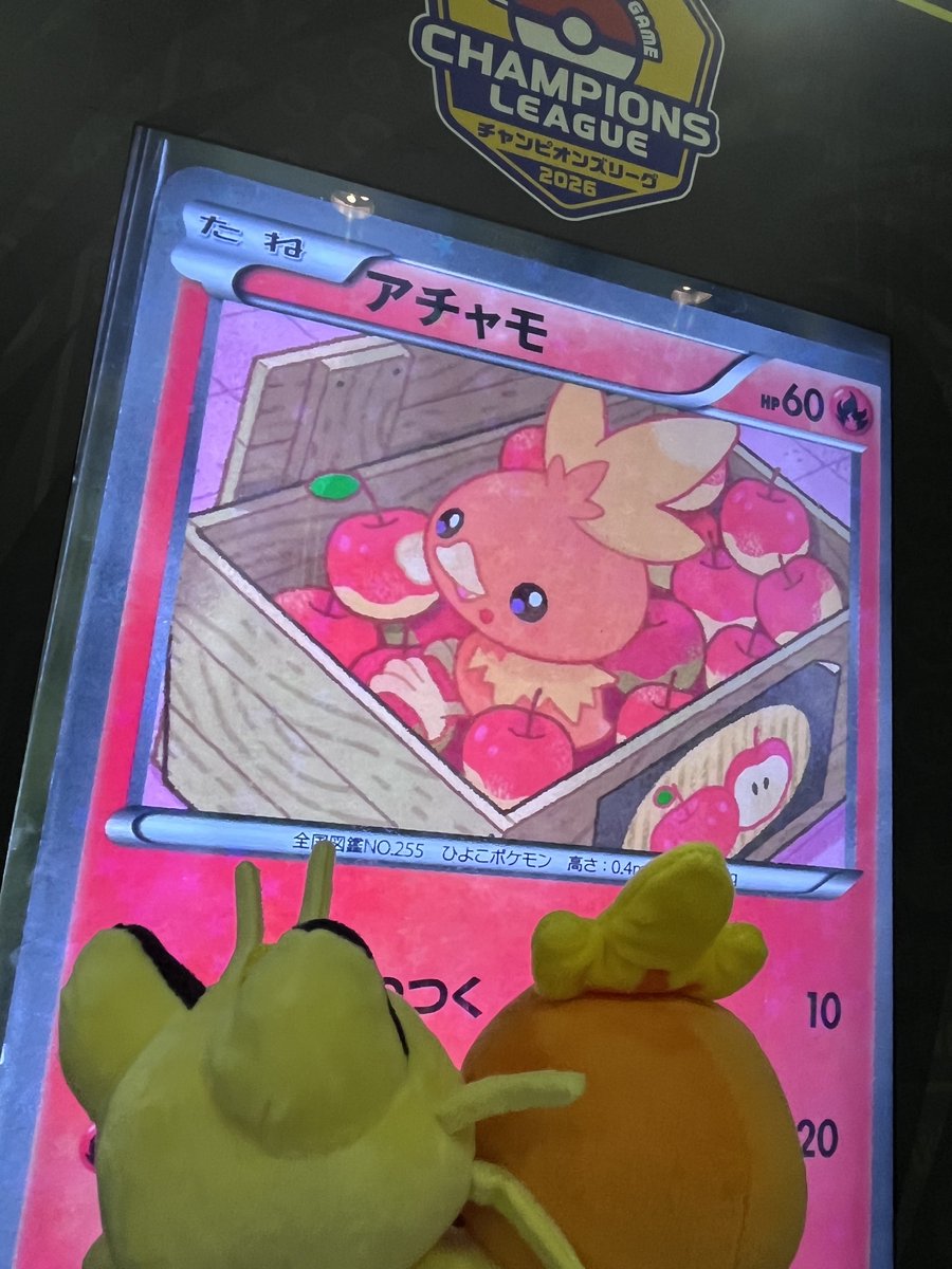 アチャもと tweet media