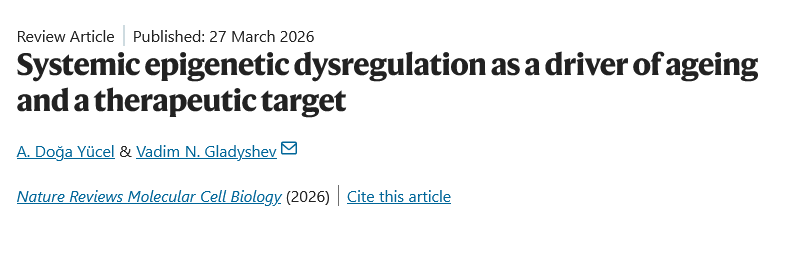 Dr Singularity tweet media