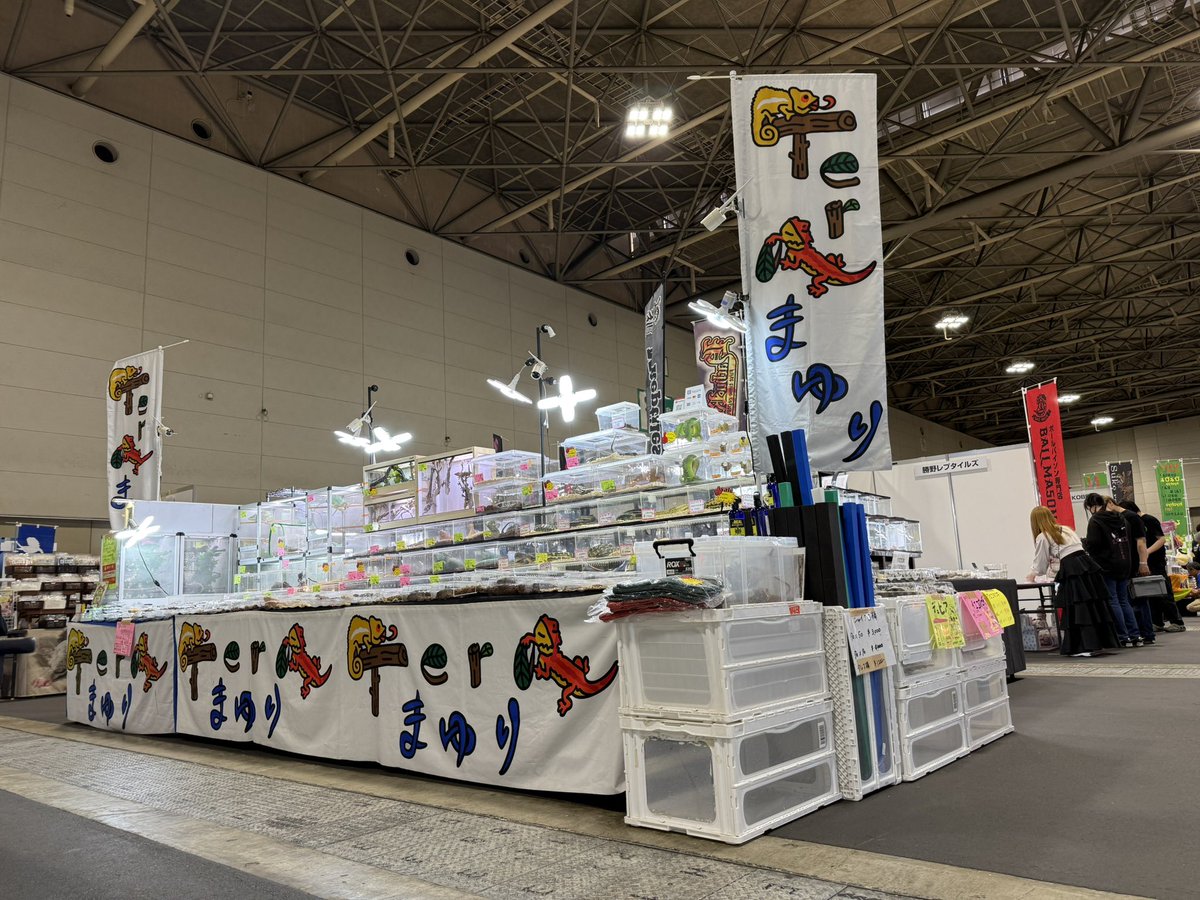 Tera-まゆり tweet media