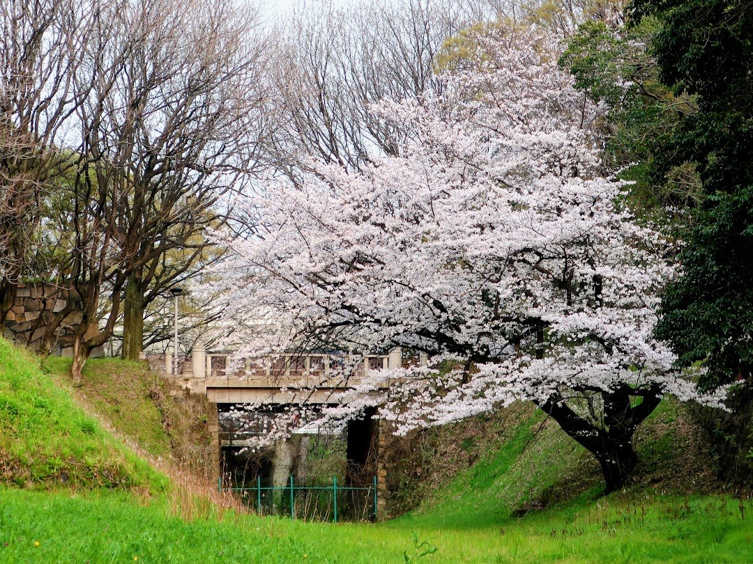 Swind/神凪唐州@名古屋めし愛好家【作家・料理家・ライター】 tweet media