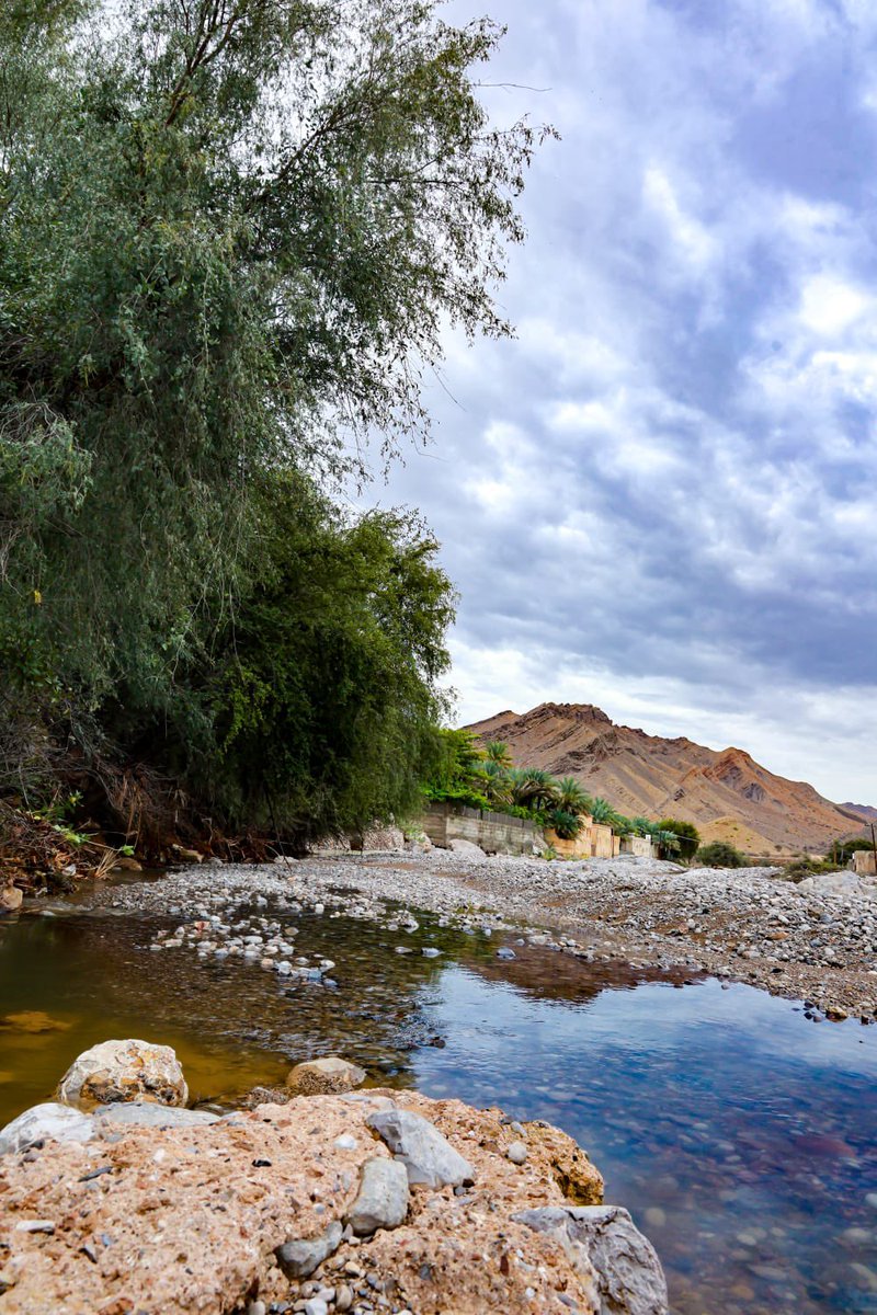 💕 " بــــــنت العفيــــــة" 💕 tweet media