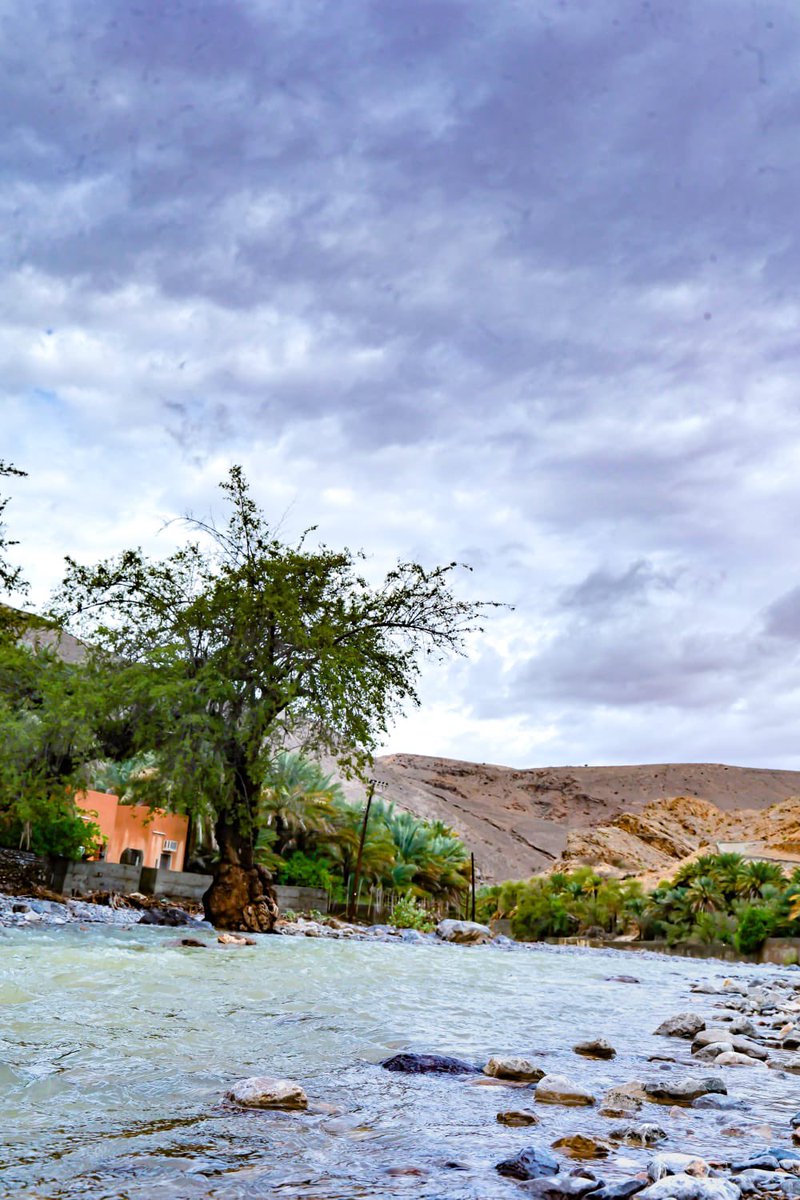 💕 " بــــــنت العفيــــــة" 💕 tweet media