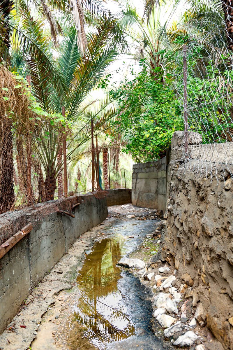 💕 " بــــــنت العفيــــــة" 💕 tweet media