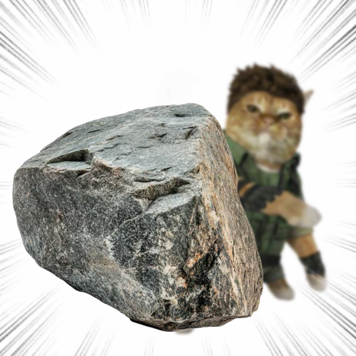 Throwing Things Daily tweet media