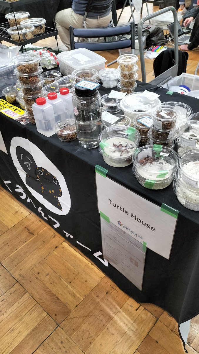 鱗甲梶家 tweet media