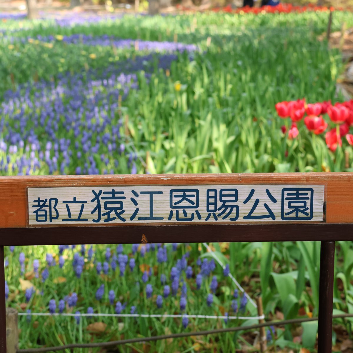 YorieGames tweet media