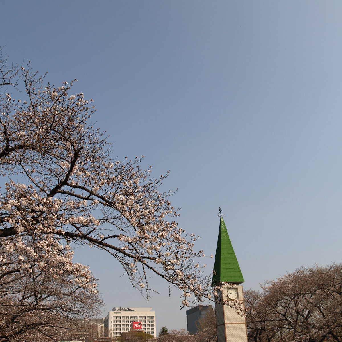 YorieGames tweet media