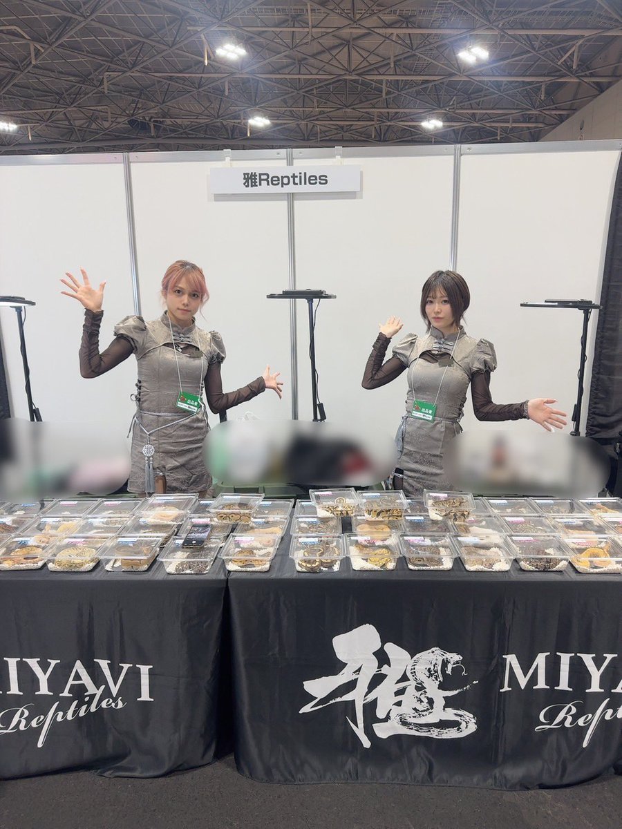 雅 Reptiles tweet media