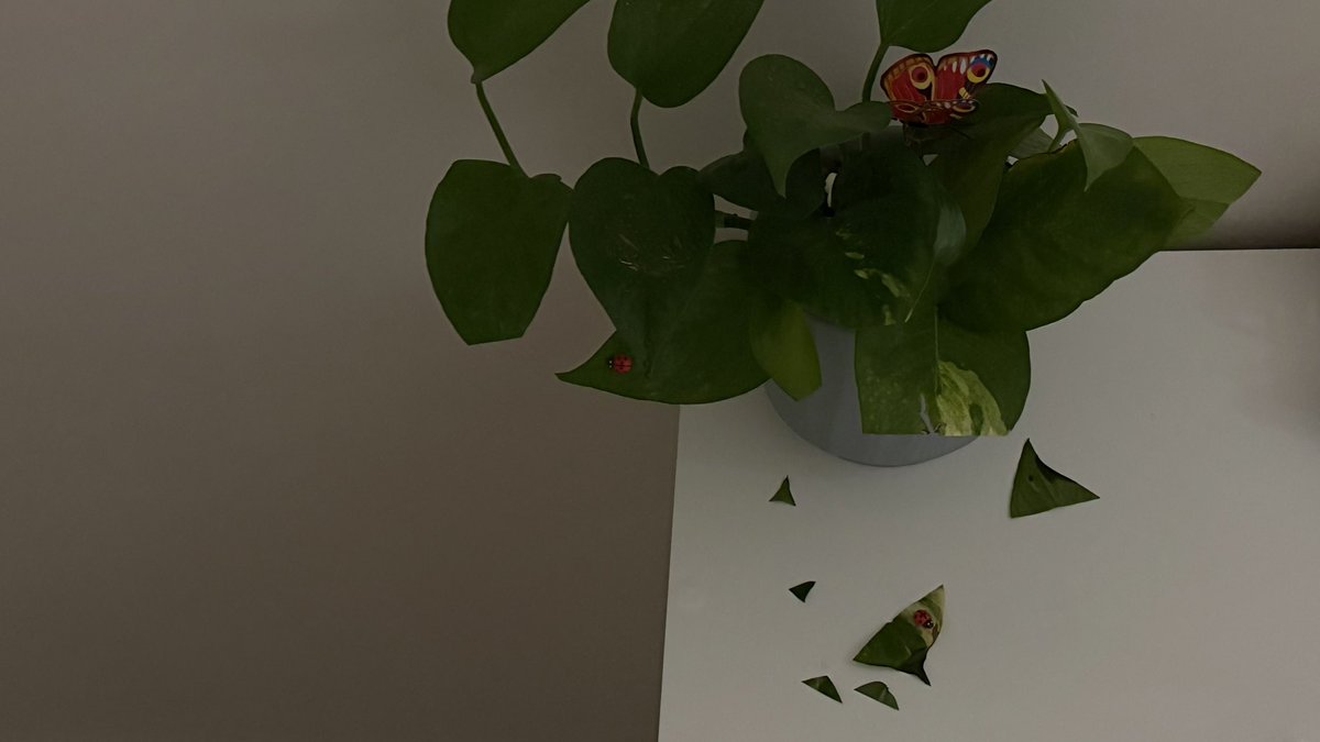 رهـف tweet media