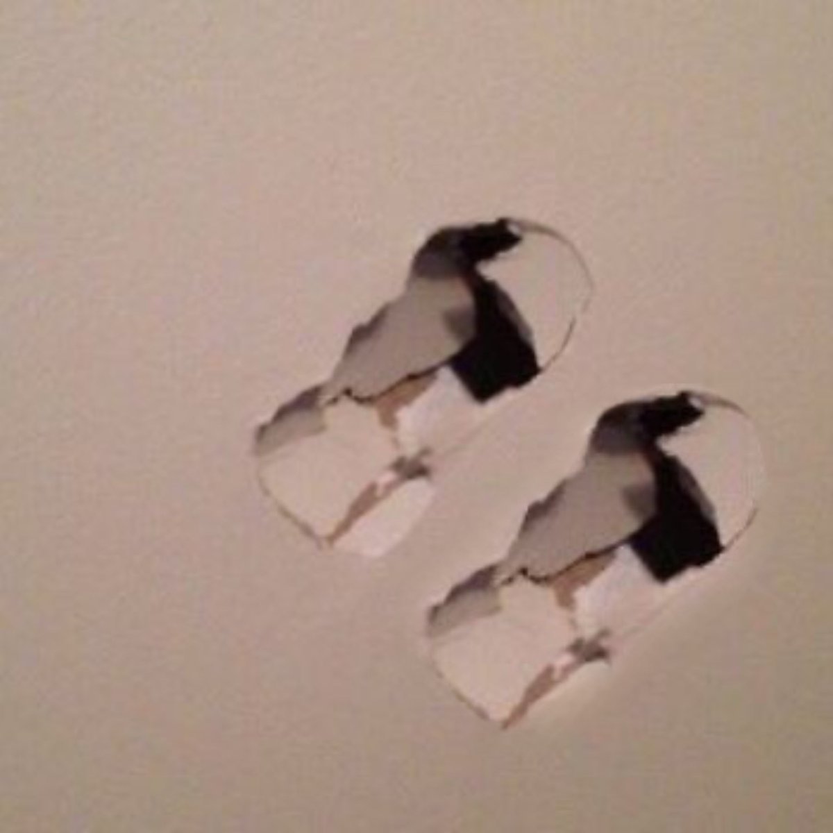 Mr. Honeydew tweet media