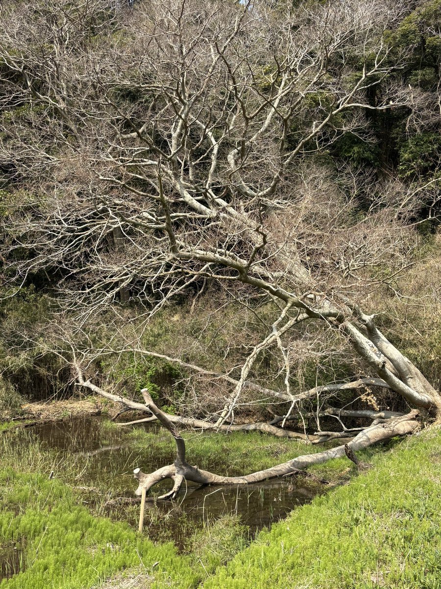 潮凪洋介|著者・出版プロデューサー✍️ tweet media