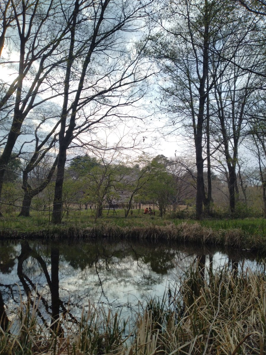 とめぴぃ tweet media