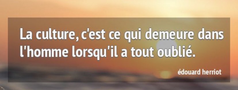 Jordan Cruciani tweet media