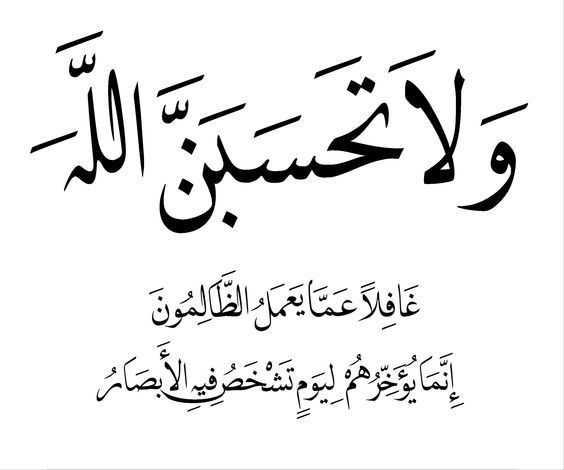أماني الشيتان tweet media