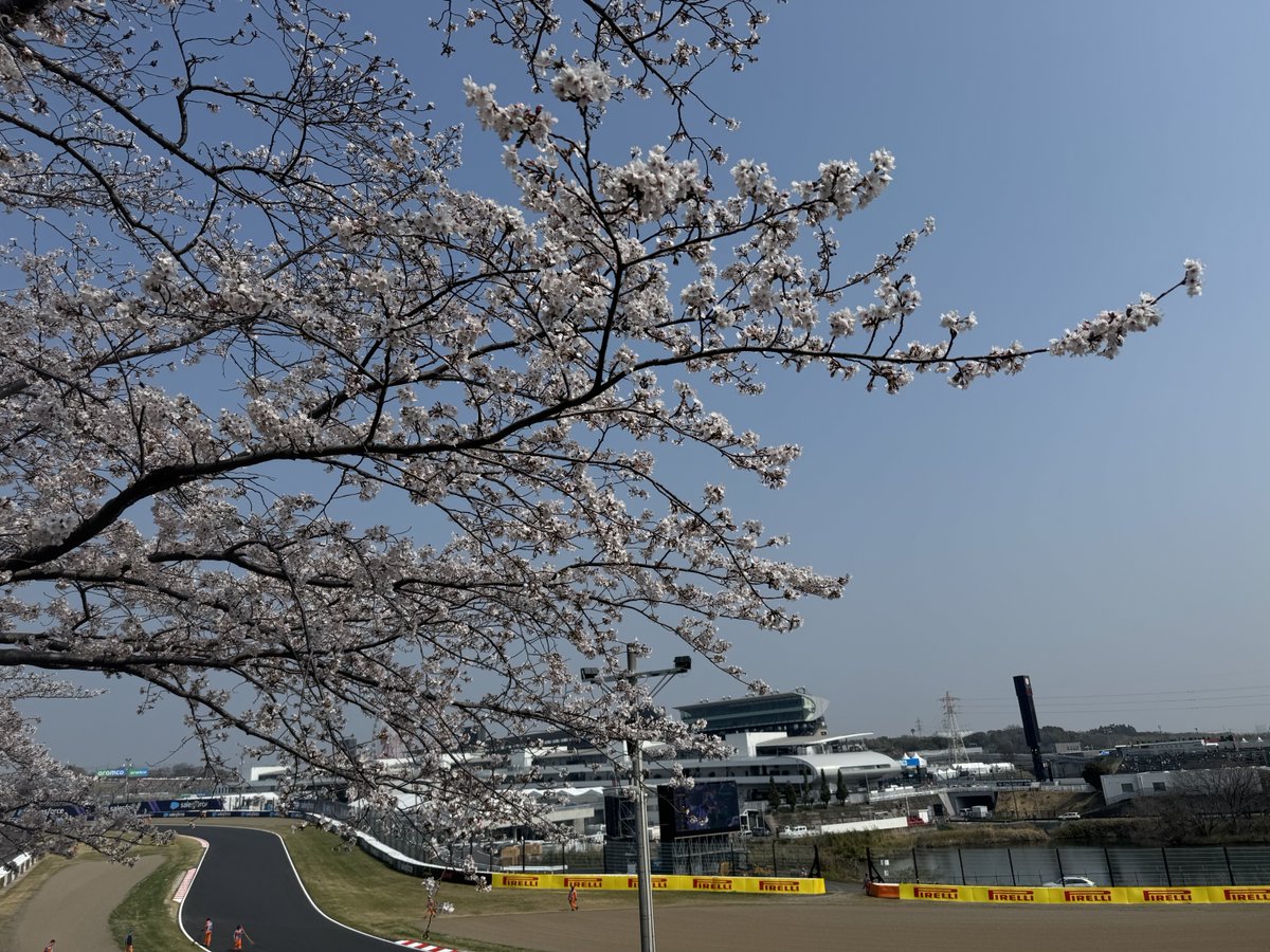 よっしぃ tweet media