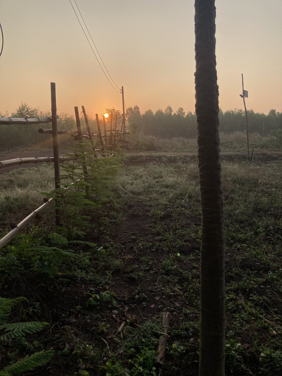 Some Time tweet media