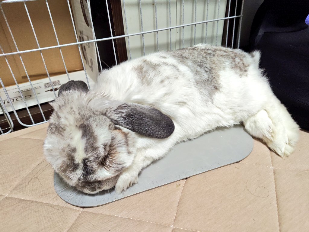 むみすけ tweet media