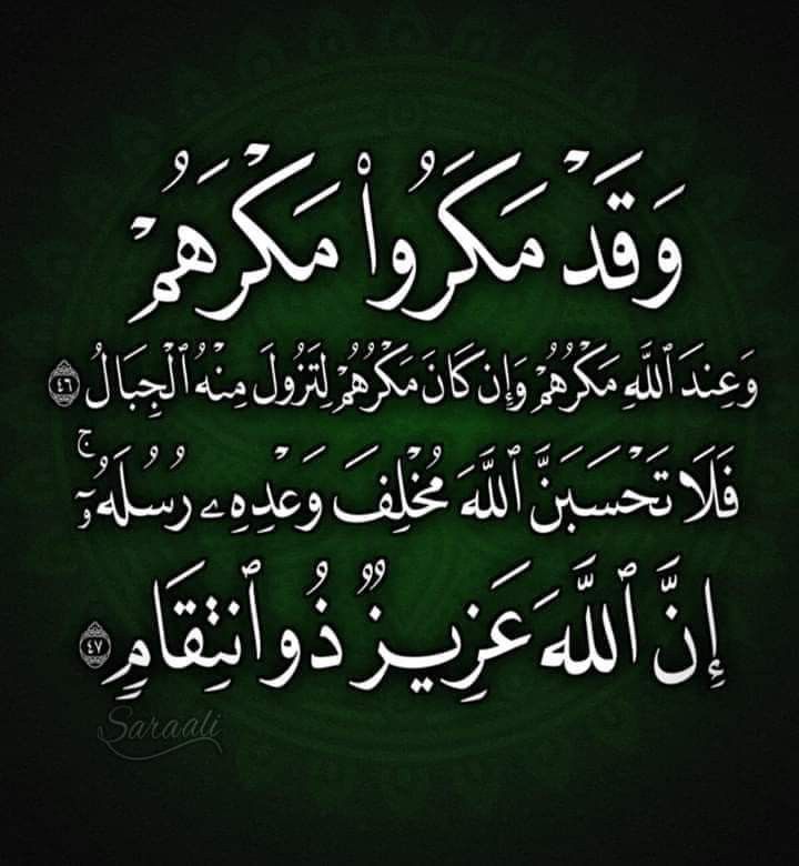 أماني الشيتان tweet media