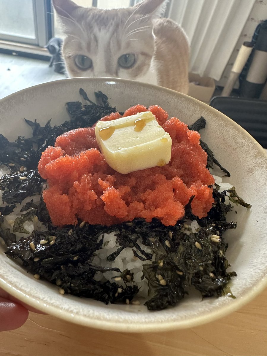 泉子（笛吹き名人） tweet media