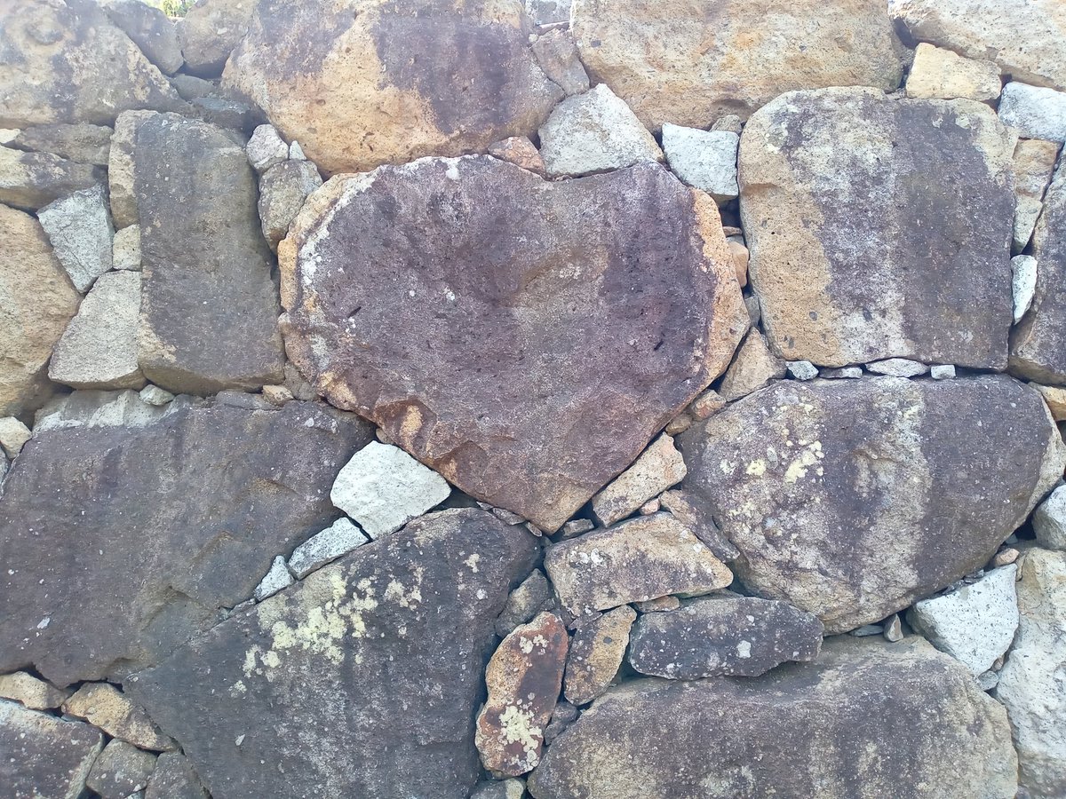 𓆩︎✟ラキュラたん✟𓆪㌨ダ🖤🥀 tweet media