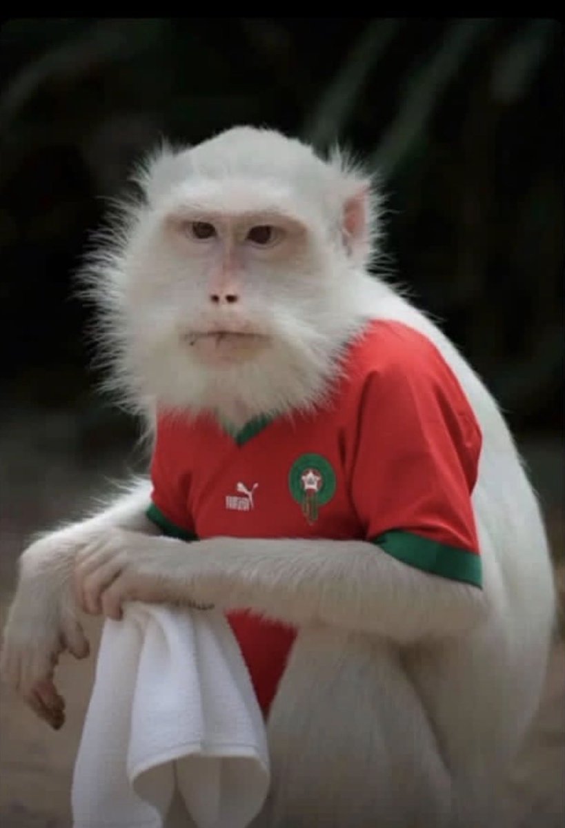 lil Tallzo tweet media