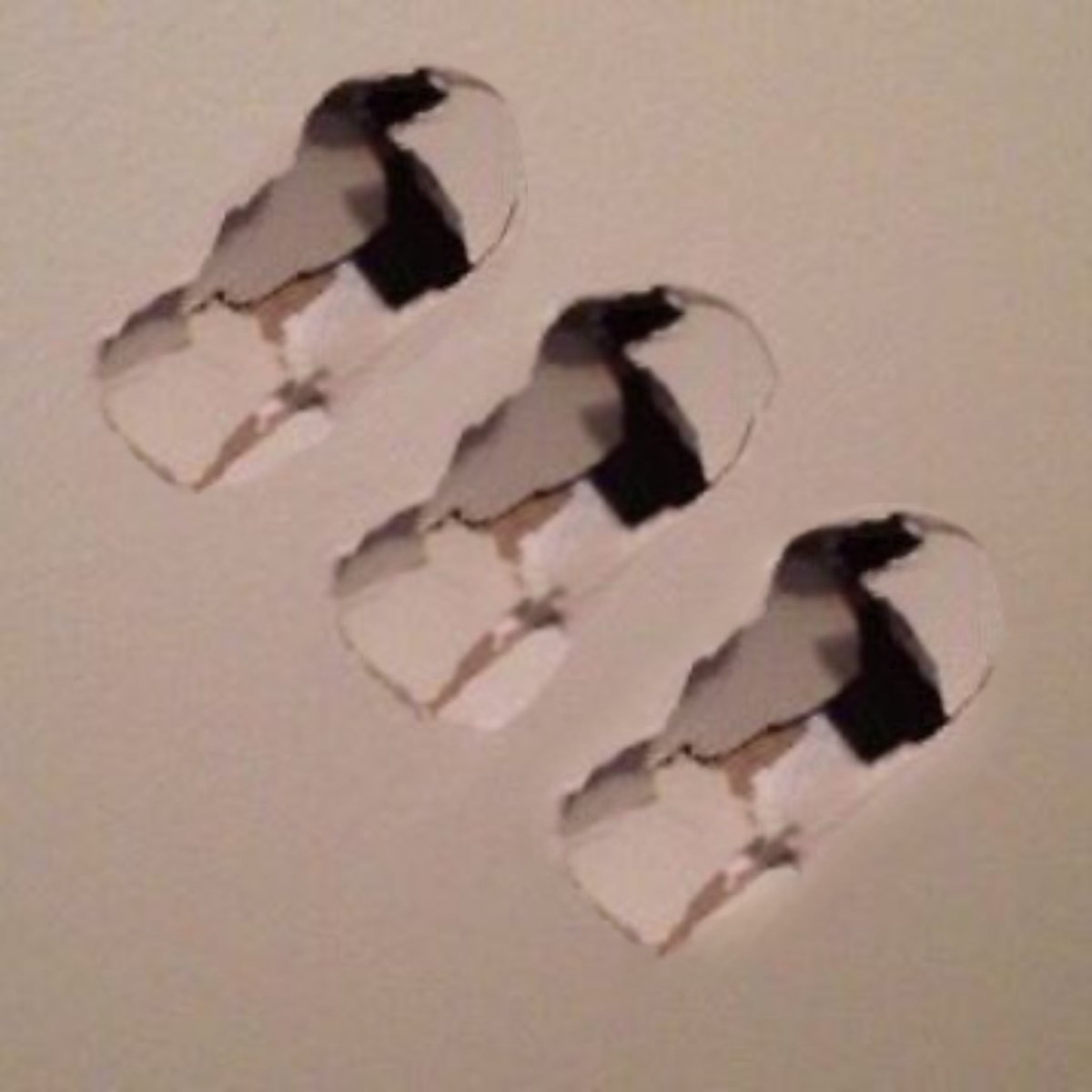 Mr. Honeydew tweet media